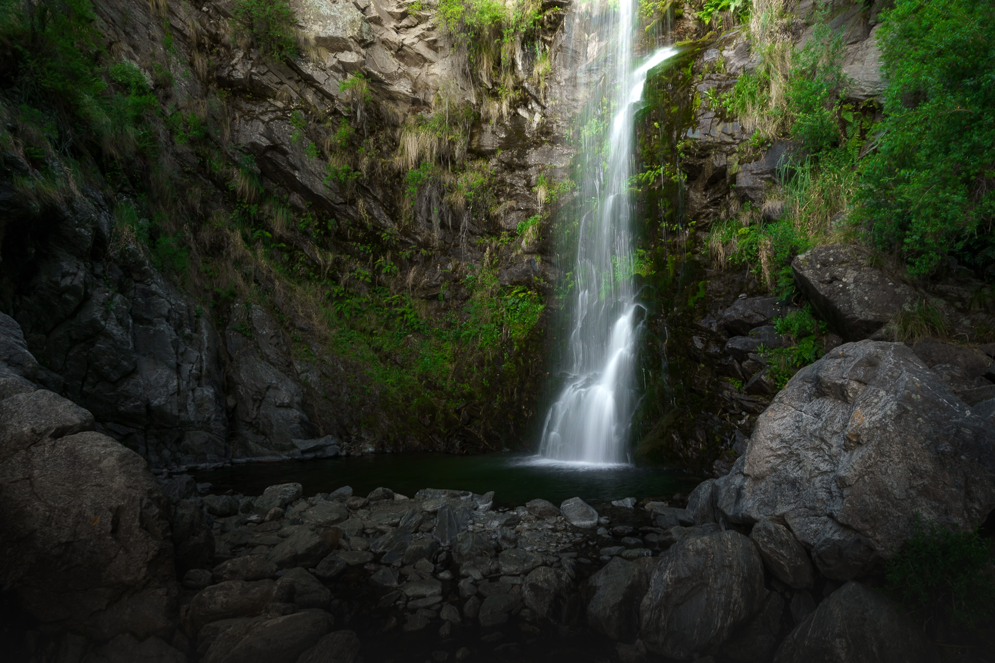 A Quiet Shape - Image 3